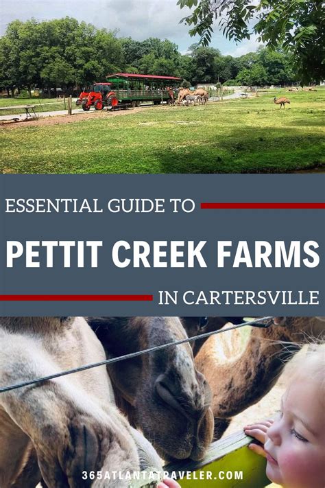 Pettit creek farms - Pettit Creek Farms is a 80-acre farm near Cartersville, Georgia, where you can see more than 20 different species of animals, such as camels, giraffes, zebras, and reindeer. You can also enjoy farm tours, birthday parties, …